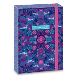 Füzetbox ARS UNA Catalina Estrada A/5 kolibri 