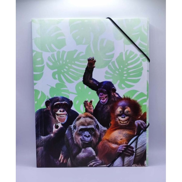 Gumis mappa HERMA A/4