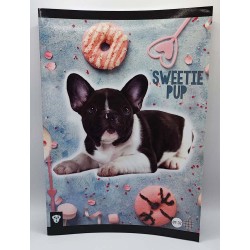 Füzet LIZZY CARD A/4 32 lapos kapcsos kockás