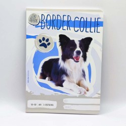 Füzet ARS UNA A/5 32 lapos vonalas 12-32 3. osztályos