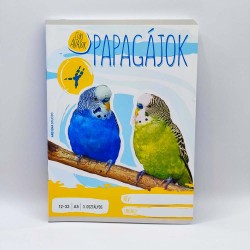 Füzet ARS UNA A/5 32 lapos vonalas 12-32 3. osztályos