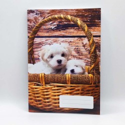 Füzet PD A/5 32 lapos vonalas 12-32 3. osztályos