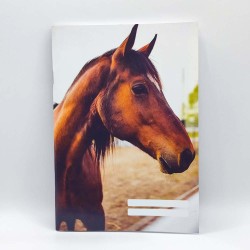 Füzet PD A/5 32 lapos vonalas 12-32 3. osztályos