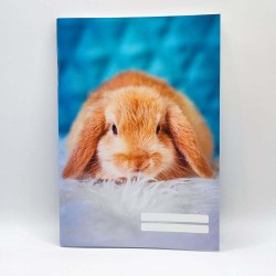 Füzet PD A/5 32 lapos vonalas 12-32 3. osztályos