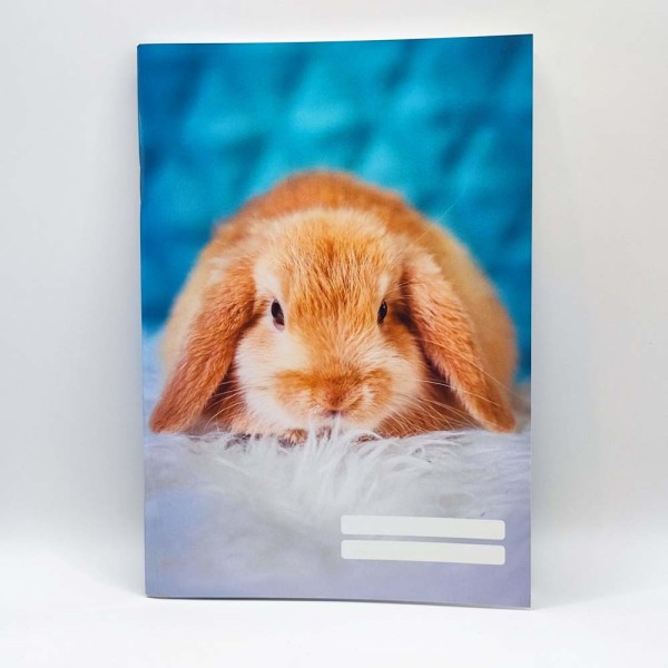 Füzet PD A/5 32 lapos vonalas 12-32 3. osztályos