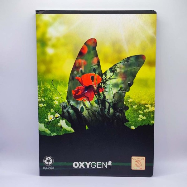 Füzet PIGNA A/4 40 lapos kockás