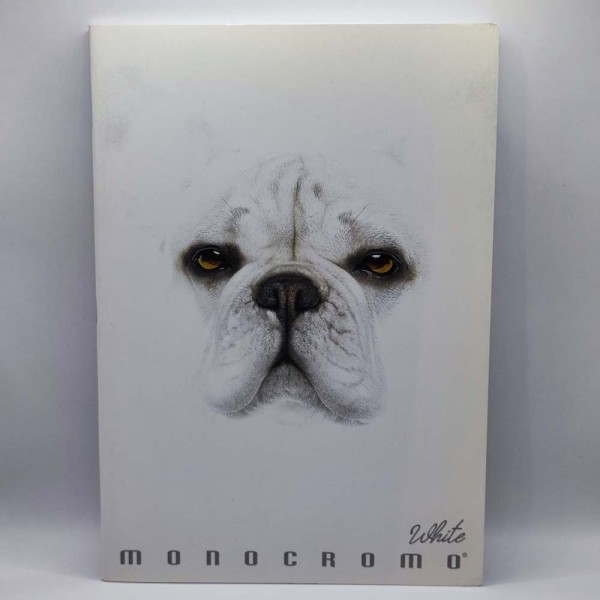 Füzet PIGNA A/4 36 lapos kockás