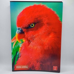 Füzet PIGNA A/4 40 lapos vonalas