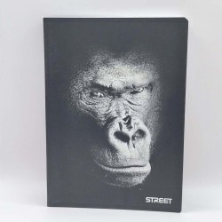 Füzet STREET A/5 54 lapos kockás