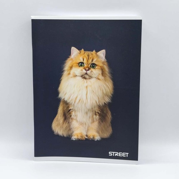 Füzet STREET A/5 54 lapos vonalas