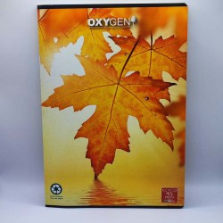 Füzet PIGNA A/4 40 lapos vonalas újrahasznosított papírból