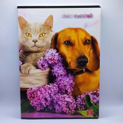 Füzet PIGNA A/4 40 lapos vonalas