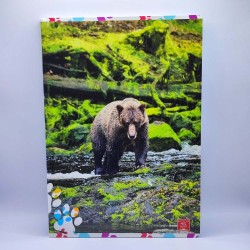 Füzet PIGNA A/4 48 lapos vonalas