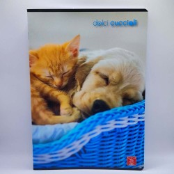 Füzet PIGNA A/4 40 lapos vonalas