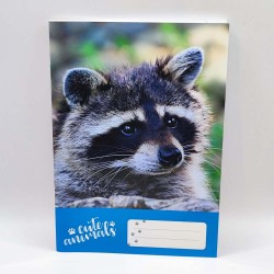 Füzet PD A/5 32 lapos vonalas 21-32