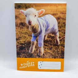 Füzet PD A/5 32 lapos vonalas 21-32