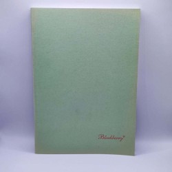 Beírókönyv Blackberry A/4 világoszöld puhafedeles 100 lapos kockás RETRO