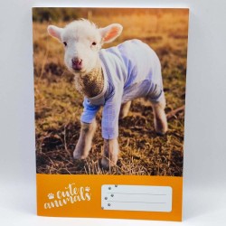 Füzet PD A/5 32 lapos vonalas 14-32 1. osztályos