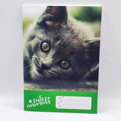 Füzet PD A/5 32 lapos vonalas 14-32 1. osztályos