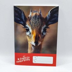 Füzet PD A/5 32 lapos vonalas 14-32 1. osztályos