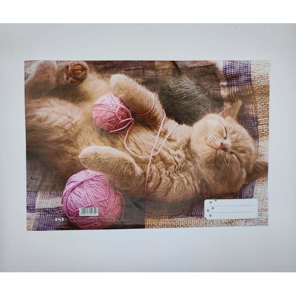 Füzetborító A/4 műanyag bújtatós mintás papír belsővel