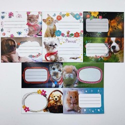 Füzetcímke STREET 10 címke/csomag